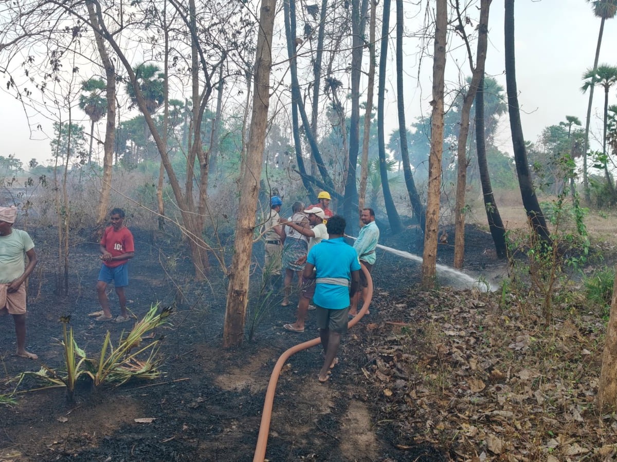 మధుపాడలో టేకు తోట దగ్ధం