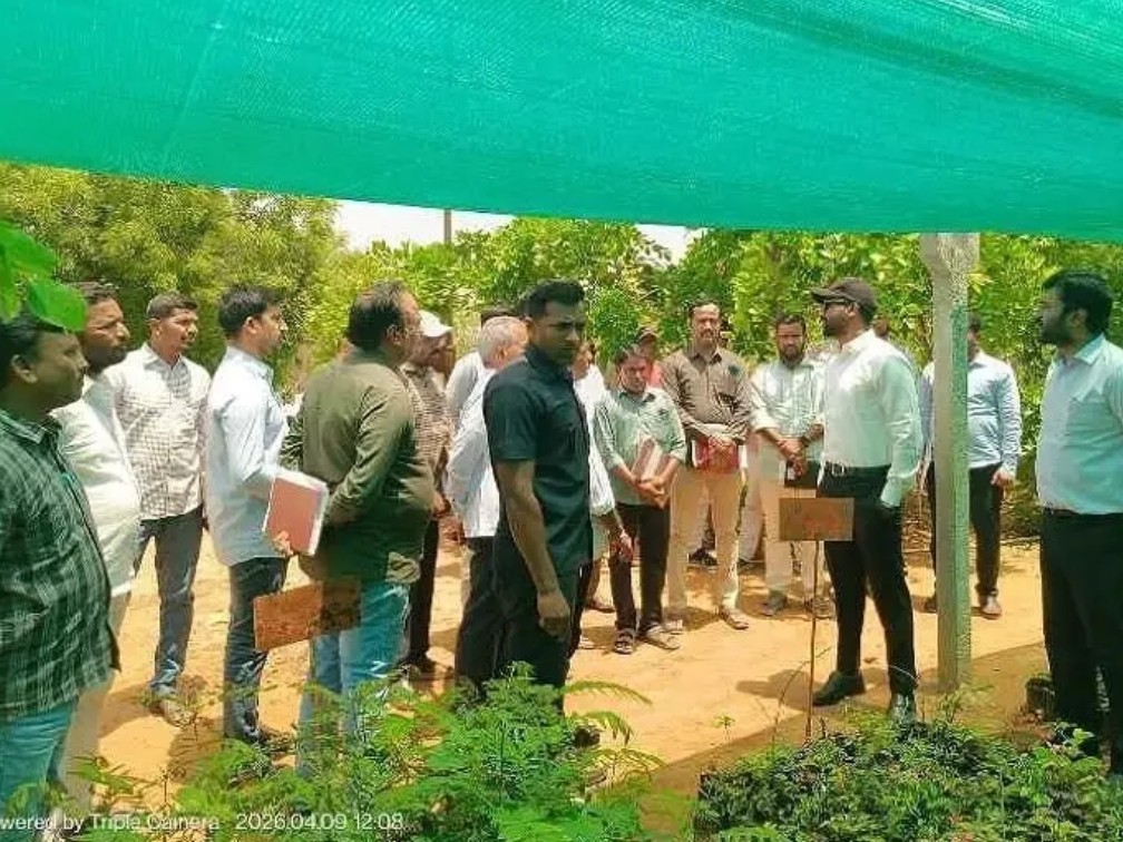 నర్సరీని సందర్శించిన కలెక్టర్