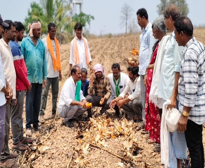 ‘విత్తన నిర్వాహకుల ఆగడాలు ఆపాలి’