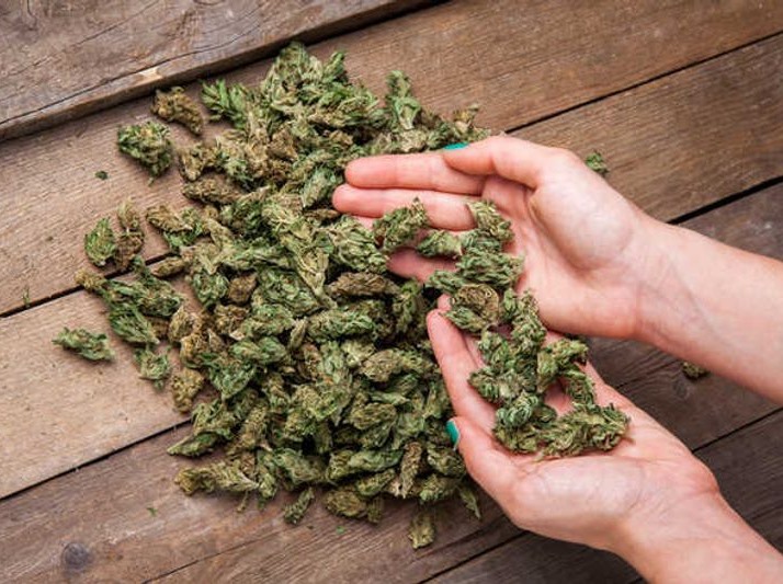 ఎయిర్‌పోర్టులో భారీగా గంజాయి పట్టివేత