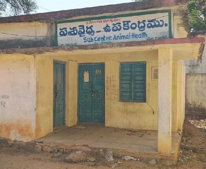 శిథిలావస్థలో కొడకంచి పశువైద్య ఉపకేంద్రం