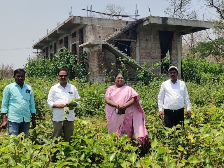 మల్బారి తోటను సందర్శించిన ఎంపీడీవో