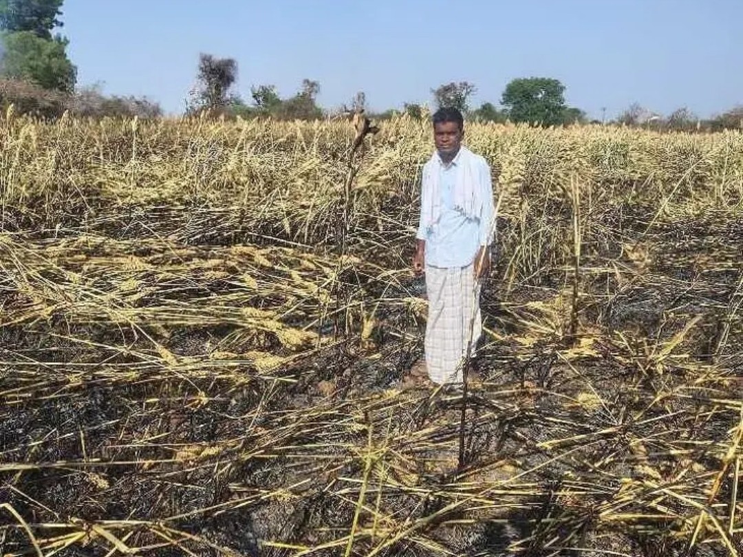 అగ్ని ప్రమాదంలో మూడు ఎకరాల జొన్న దగ్ధం