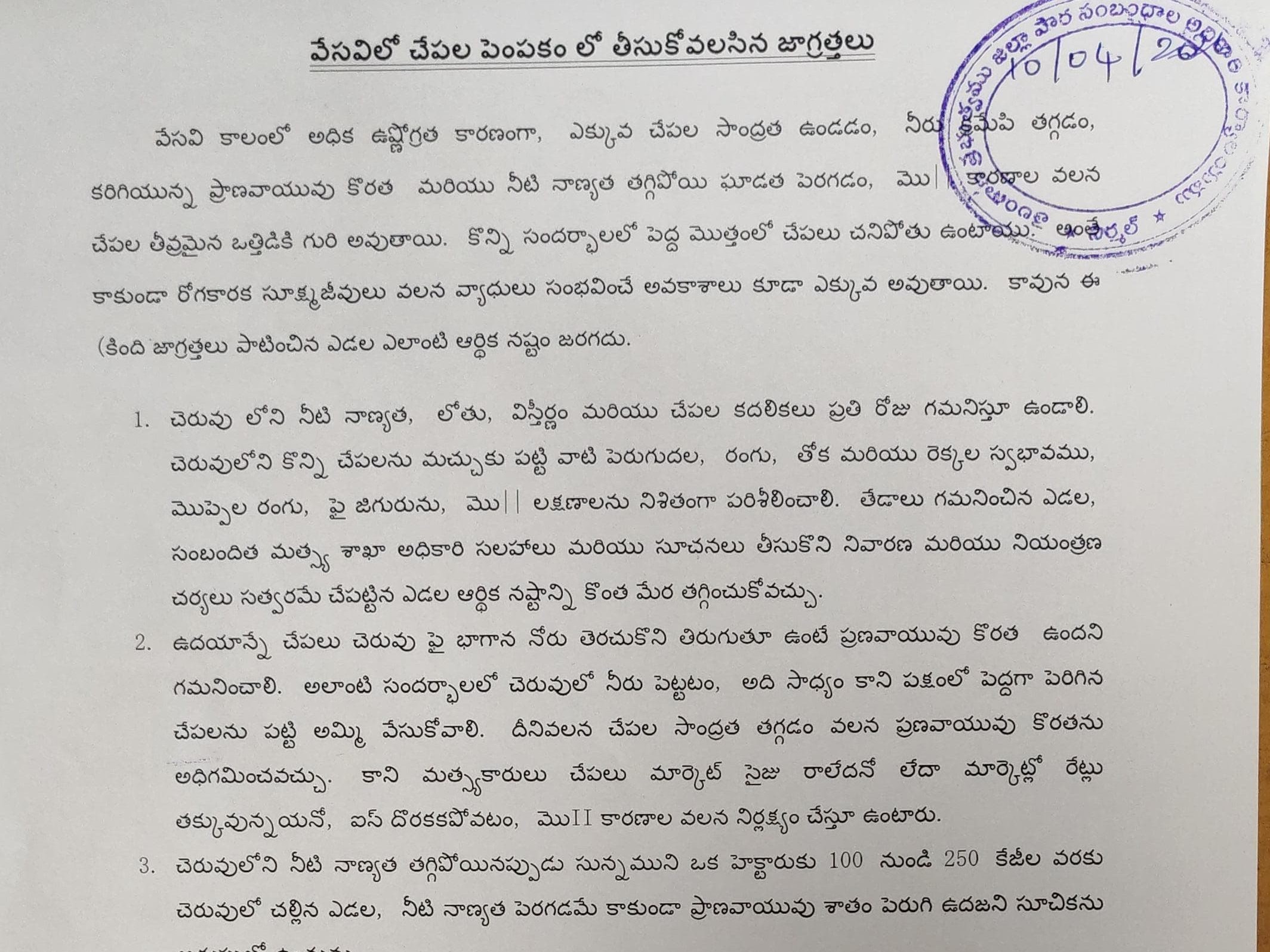 చేపల పెంపకంలో జాగ్రత్తలు తీసుకోవాలి