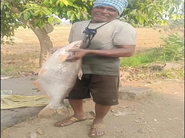 మత్స్యకారుడికి చిక్కిన భారీ చేప