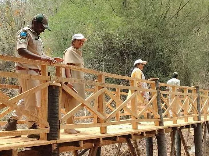 పులిగుండాలలో సరికొత్త వంతెన