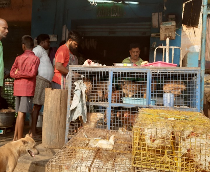నేడు జిల్లాలో మాంసం ధరలు ఇలా..