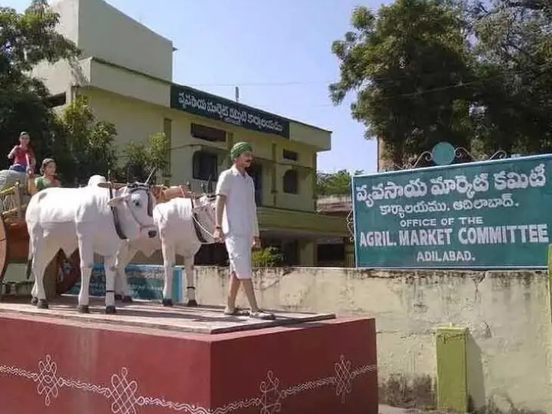 రేపు ఆదిలాబాద్‌లొ శనగ కొనుగోళ్లు బంద్