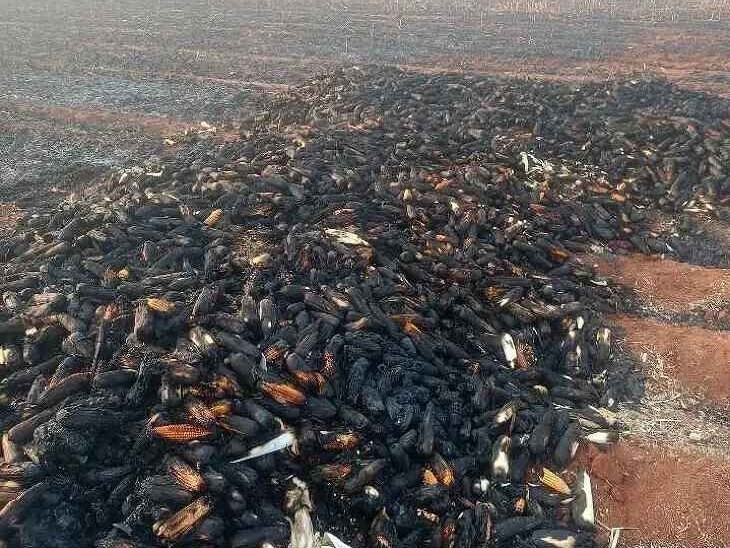 భీంపురం అగ్నిప్రమాదం.. పంట నష్టం