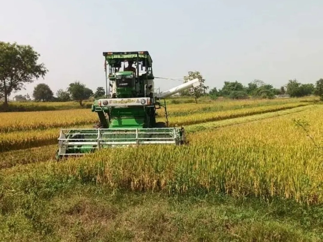 యాసంగి సీజన్‌లో ప్రారంభమైన వరి కోతలు