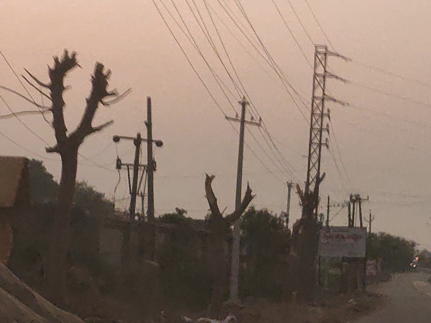 చెట్ల పెంపకం వృథానేనా..?