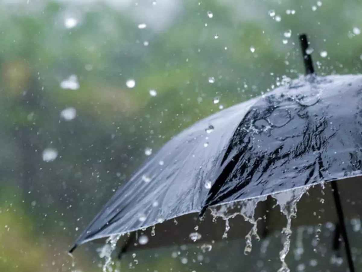 బొంరాస్ పేట మండలంలో భారీ వర్షం