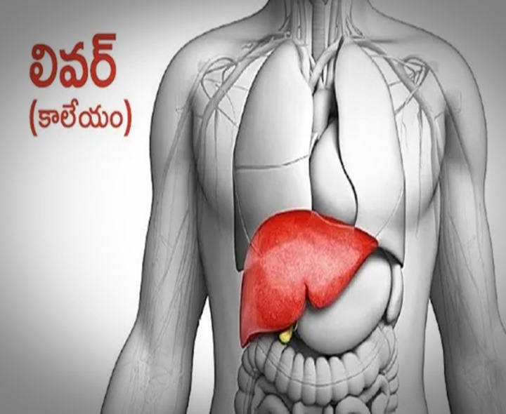 130 కోట్ల మందిలో లివర్ సమస్య