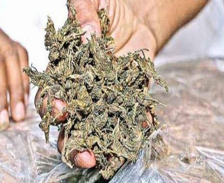 గంజాయి దందా.. 18 మంది అరెస్ట్