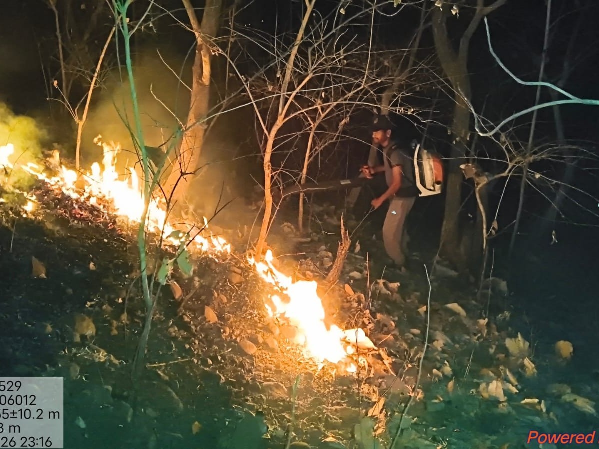 అడవిలో అగ్నిప్రమాదం.. స్పందించిన ఫైర్ సిబ్బంది