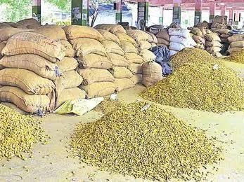 పసుపు ధరలకు సిండికేట్ తెగులు