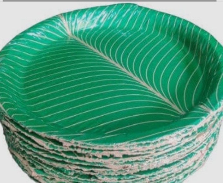 ‘పేపర్ ప్లేట్లు ప్రత్యక్షం.. కనిపించని మోదుగాకు విస్తర్లు’