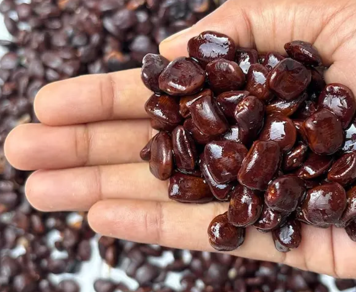 చింత గింజలతో ఆరోగ్య ప్రయోజనాలు