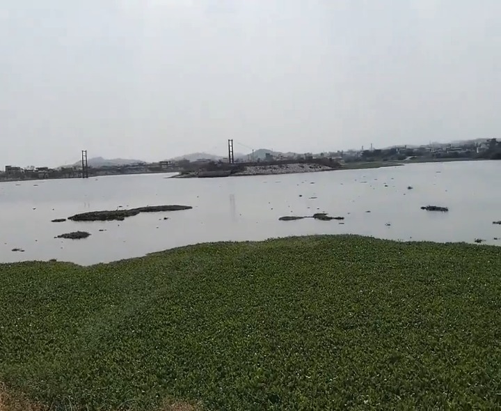 పెద్ద చెరువులో దుర్వాసన సమస్య