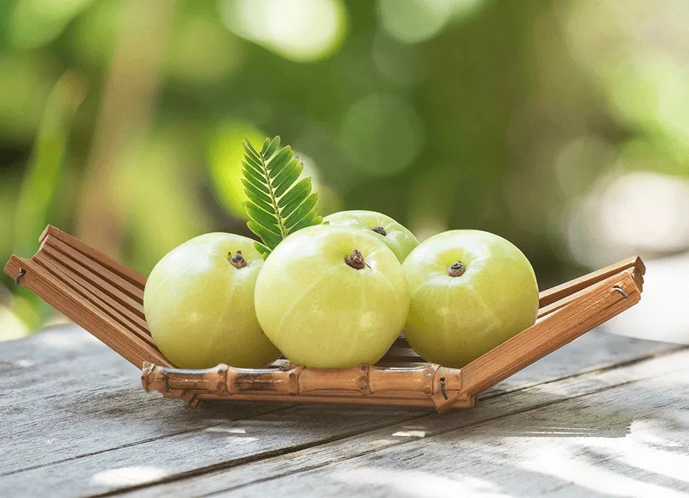 ఉసిరితో ఈ సమస్యలకు చెక్