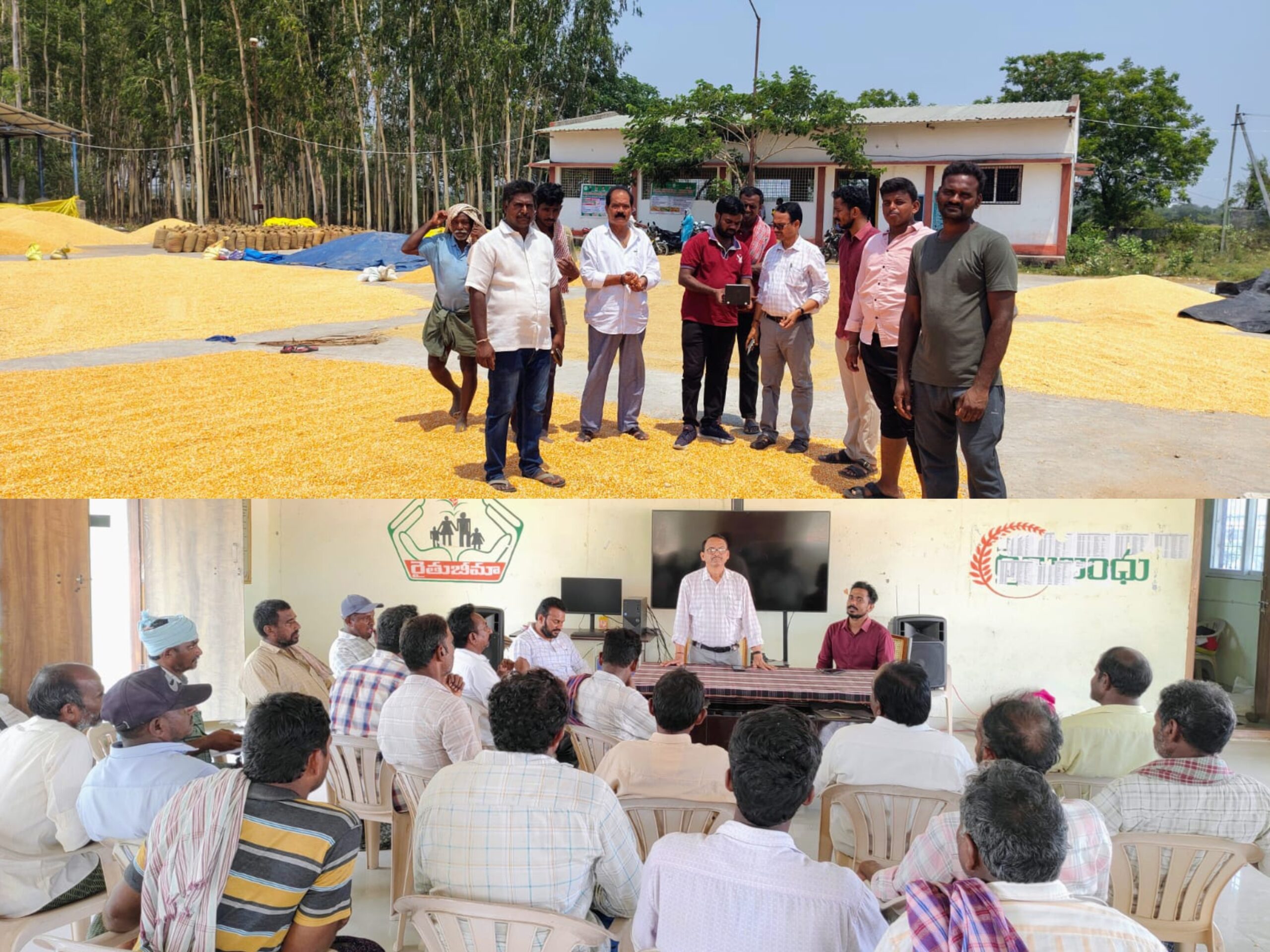 మొక్కజొన్న కొనుగోలు కేంద్రాన్ని సందర్శించిన డీఏవో