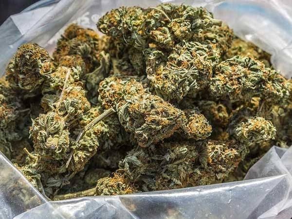 టేకుమట్లలో గంజాయి కేసు ఇద్దరు అరెస్ట్