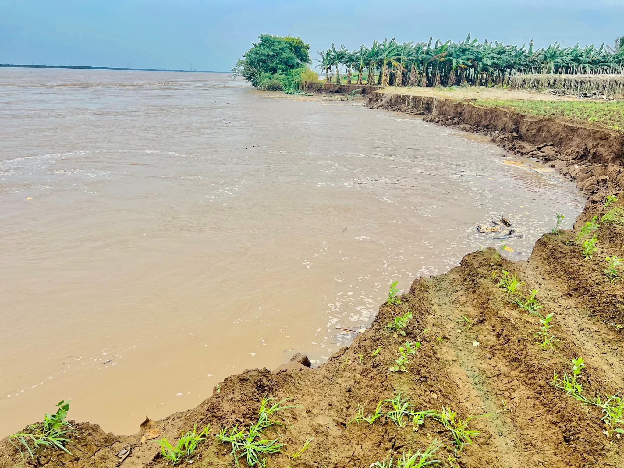 ధవలేశ్వరంలో నది కోత నివారణకు పటిష్ట చర్యలు