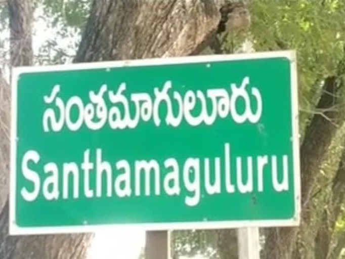 ఈనెల 21న చేపల చెరువు వేలం