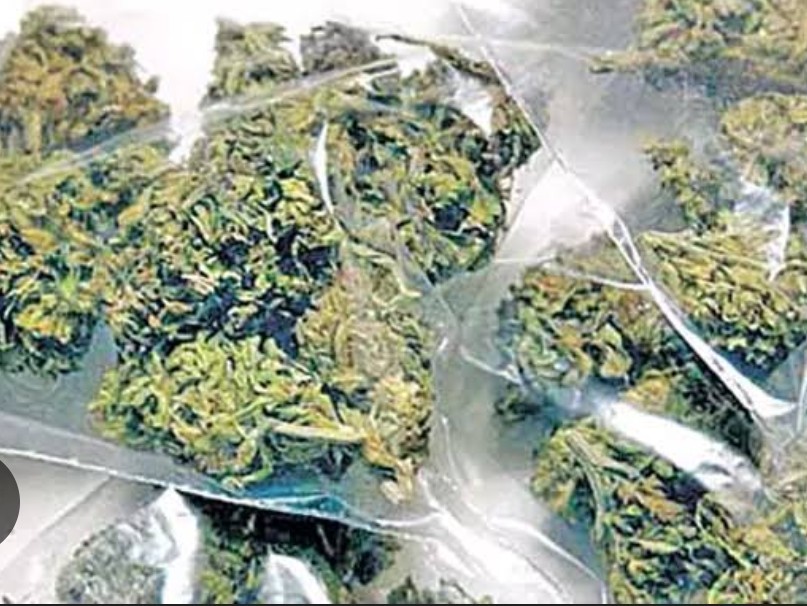 గంజాయి రవాణా కేసులో ముగ్గురు అరెస్ట్