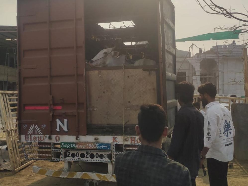 అక్రమంగా పశువులు తరలింపు.. కేసు నమోదు