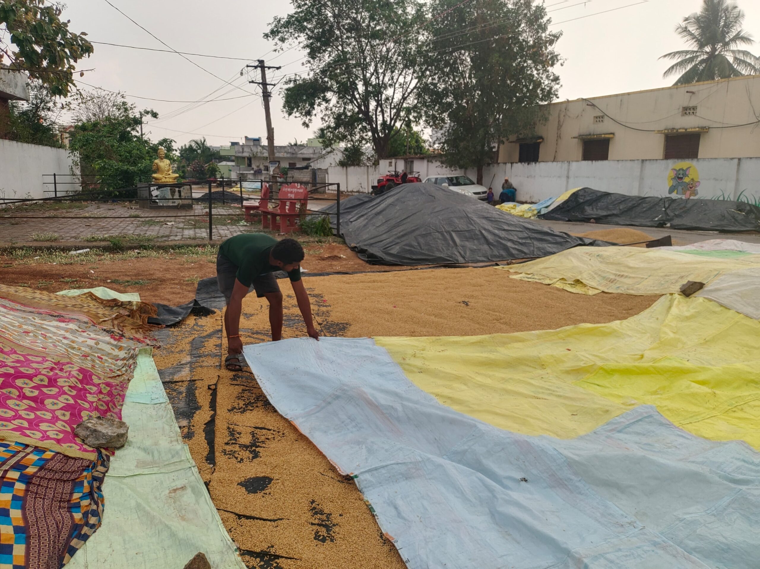 వాతావరణంలో మార్పులు.. రైతుల్లో ఆందోళన