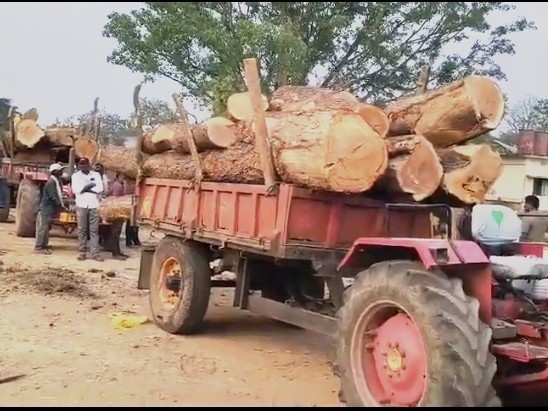 నిర్మాణ పనుల సాకుతో చెట్లు నరికివేత