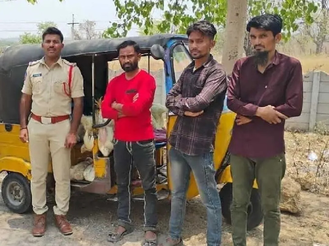 4 క్వింటాళ్ల కోళ్ల చోరీ.. ముగ్గురి అరెస్టు