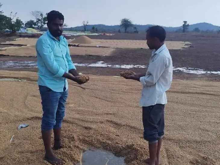 ధాన్యం కొనుగోలు కేంద్రం వద్ద తడిసిన ధాన్యం