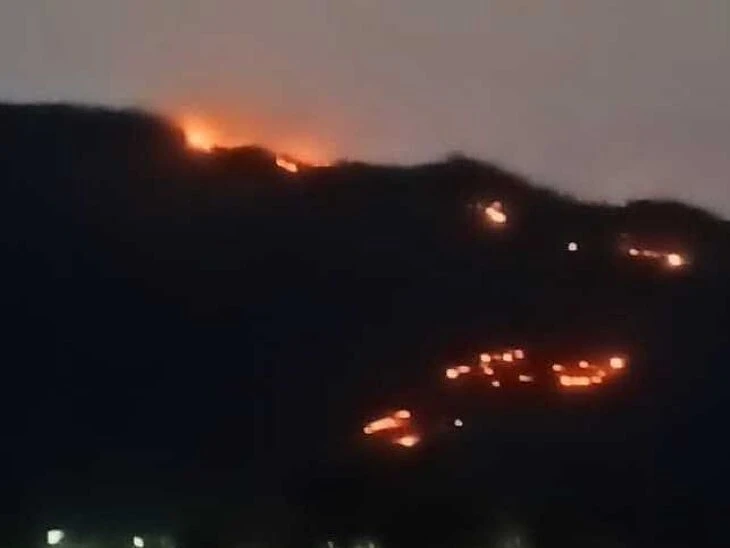 దొడ్డికొండకు నిప్పు.. వృక్ష సంపదకు ముప్పు