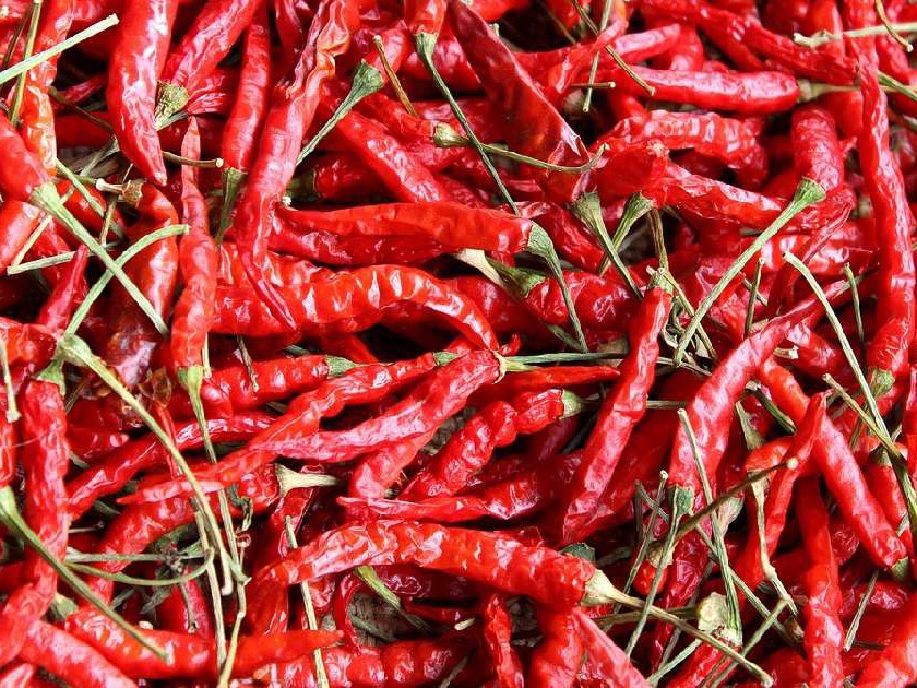 నేడు తేజ మిర్చి ధర ఎంత అంటే..?