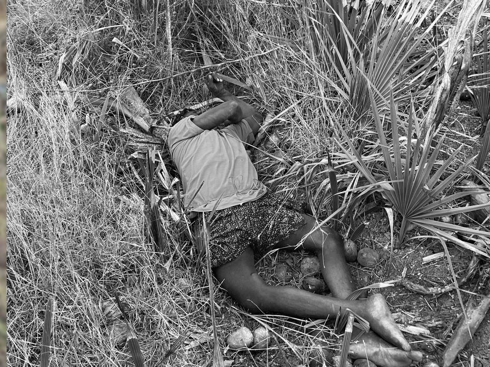 తాటిచెట్టు పైనుంచి పడి గీత కార్మికుడు మృతి