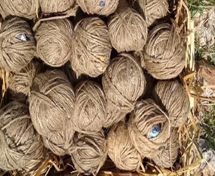 నాటుబాంబు కలకలం.. ముగ్గురికి గాయాలు