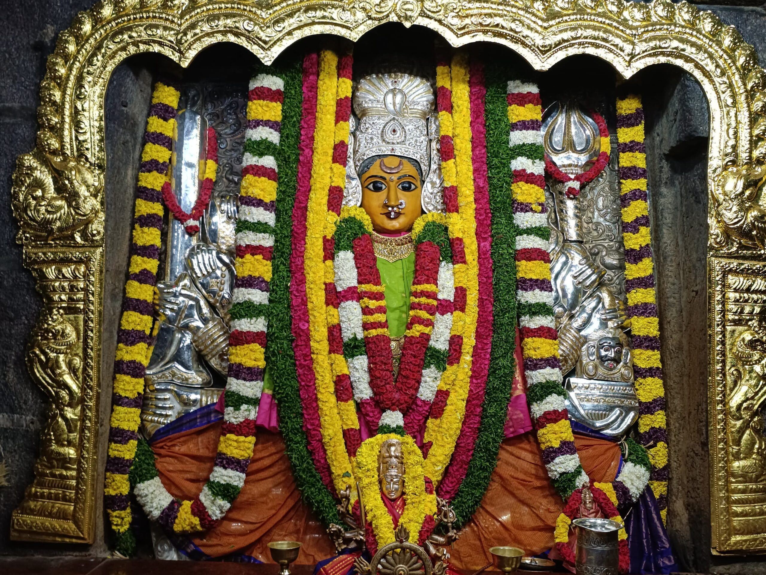 ప్రాతఃకాల విశేష దర్శనంలో భద్రకాళి అమ్మవారు