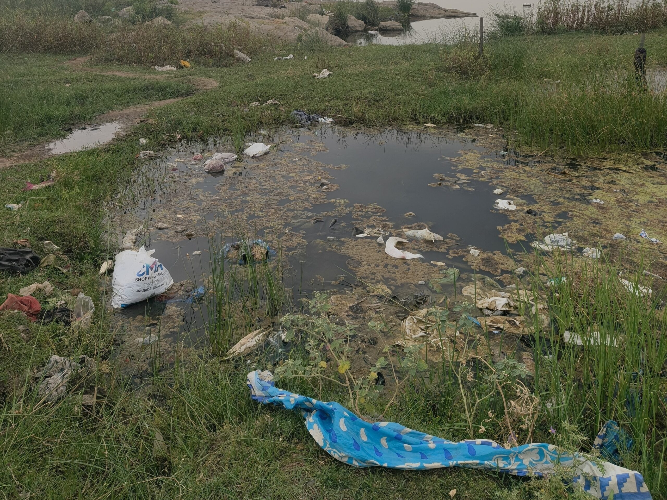 భక్తుల నిర్లక్ష్యంతో గోదావరి కలుషితం