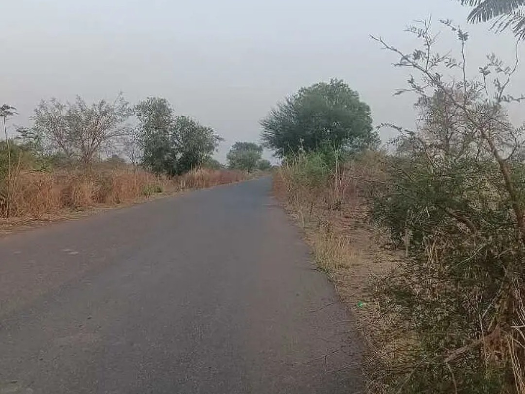 రోడ్డు పక్కన పిచ్చి మొక్కలు.. పట్టించుకోని అధికారులు