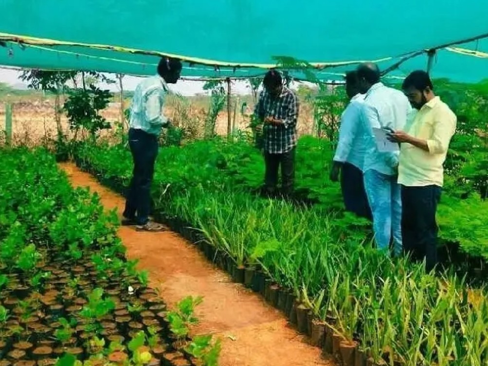 ఉపాధి పనులను తనిఖీ చేసిన డీఆర్డీవో