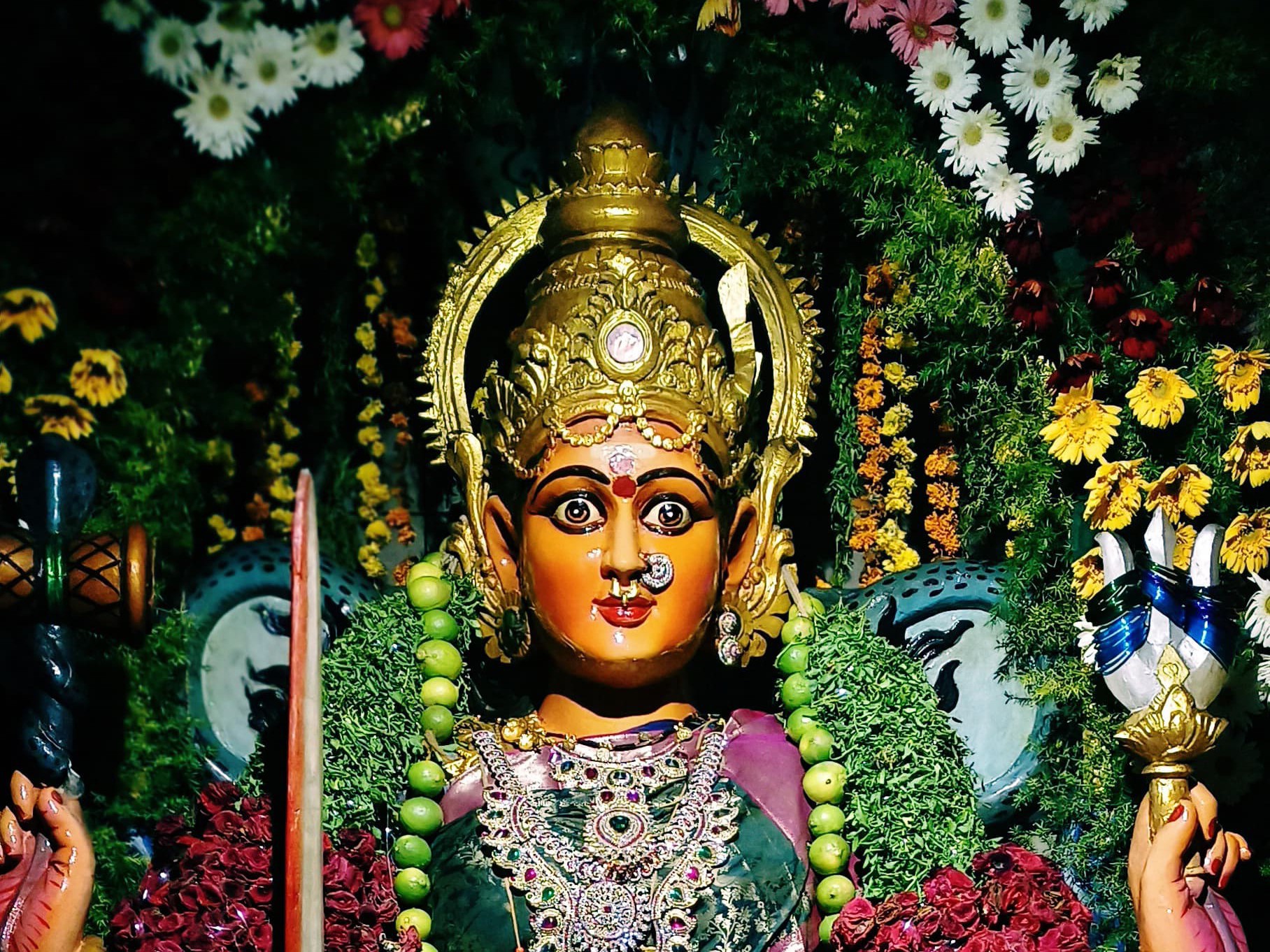 ఈనెల 24 నుంచి శ్రీ రాపూరమ్మ జాతర మహోత్సవాలు