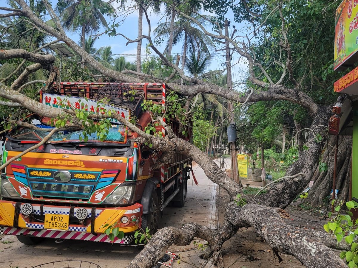 ఐచర్ వ్యాన్‌పై పడిన చెట్టు కొమ్మ.. వ్యక్తికి తీవ్ర గాయాలు
