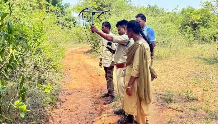 మళ్లీ పెద్దపులి సంచారం.. అటవీశాఖ హైఅలర్ట్