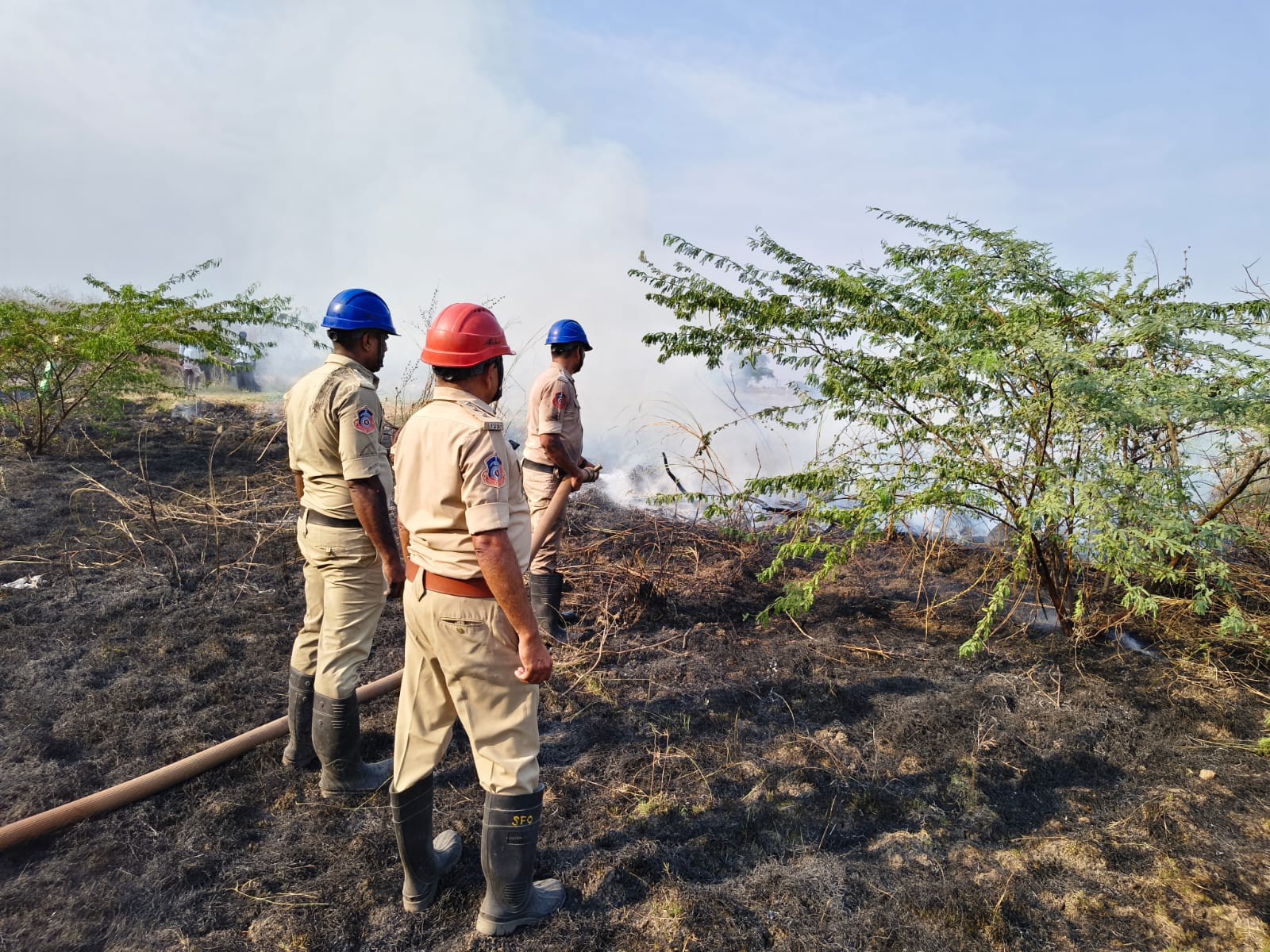ఒకేరోజు మూడు చోట్ల అగ్ని ప్రమాదాలు.. భారీగా పంట నష్టం