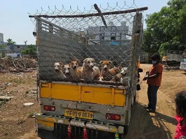 కుక్కలను తరలించిన మున్సిపల్ సిబ్బంది