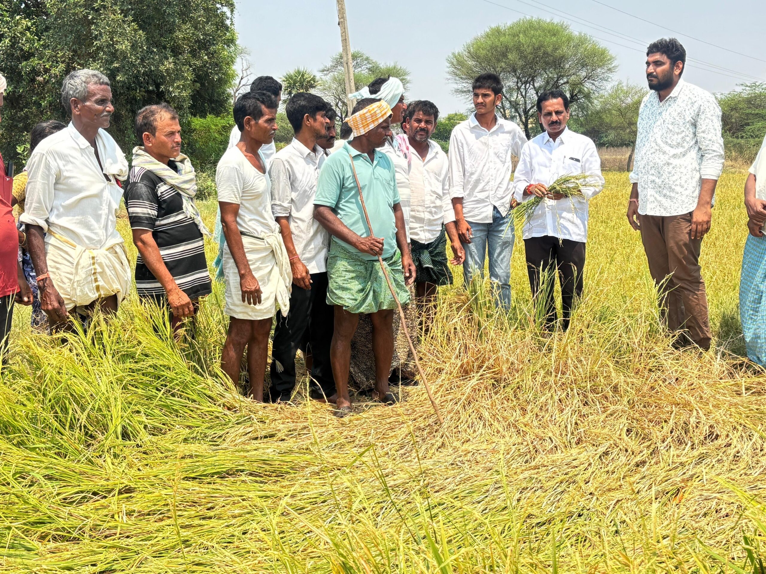 రైతులకు నష్టపరిహారం చెల్లించాలి: మాజీ ఎమ్మెల్యే