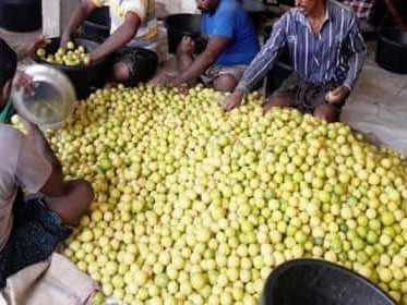 మార్కెట్‌లో భారీగా పెరిగిన నిమ్మ ధర