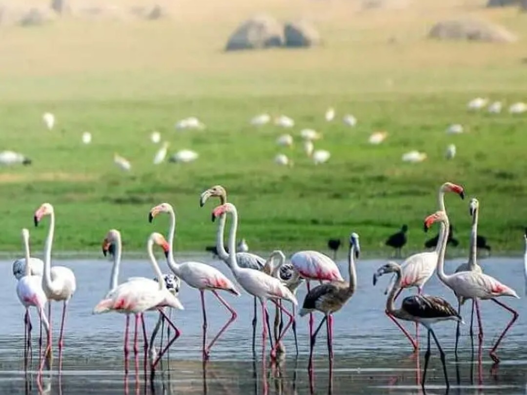 మన చెంతనే ‘మినీ గోవా’